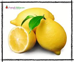 Limon Eureka